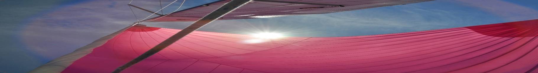 Main Sailors – Regatta Campaign